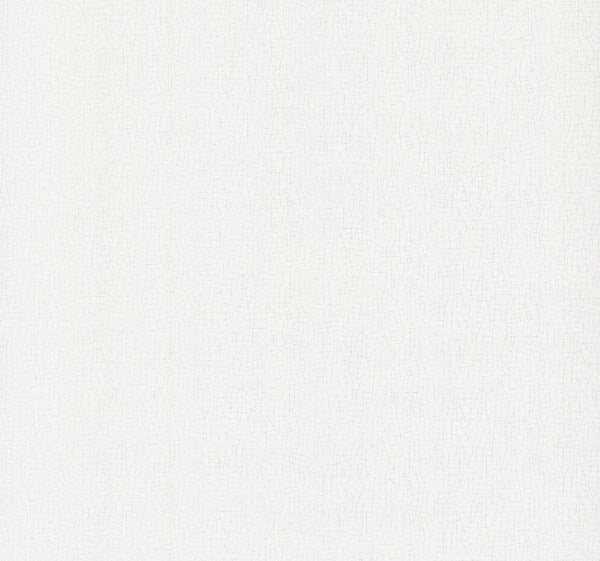 Exchange Optic White Wallpaper