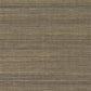 Multi Grass Brown Wallpaper