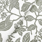 Rowen Olive Botanical Wallpaper