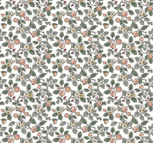 Framboise Blush Berry Vines Wallpaper