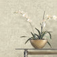 Crystal Cloud Beige Beaded Wallpaper