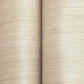 Smooth Abaca Sand Dollar Wallpaper