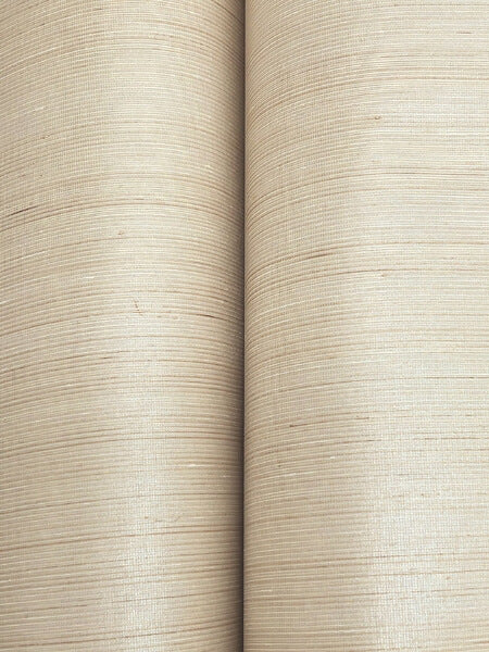 Smooth Abaca Sand Dollar Wallpaper