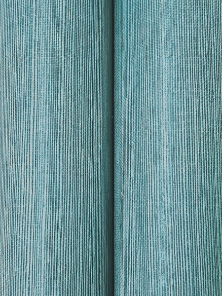 Maguey Sisal Sky Wallpaper