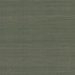 Smooth Abaca Forest Wallpaper