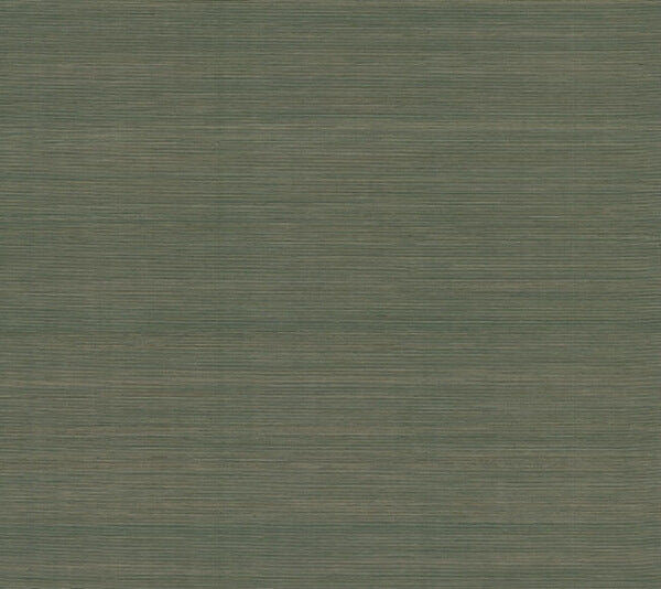 Smooth Abaca Forest Wallpaper