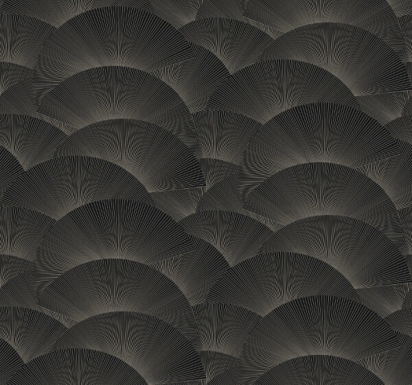 Morning Shell Black & Grey Wallpaper