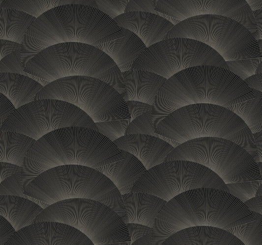 Morning Shell Black & Grey Wallpaper