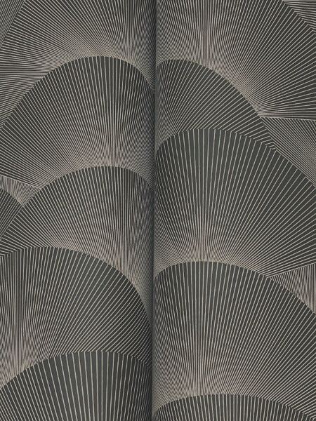 Morning Shell Black & Grey Wallpaper