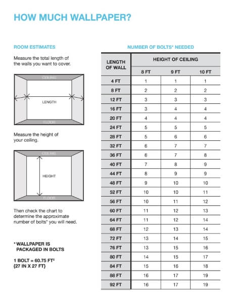 Morning Shell Blue Wallpaper