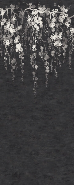 Sakura Blooms Black Wall Mural