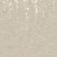 Sakura Blooms Neutral Wall Mural