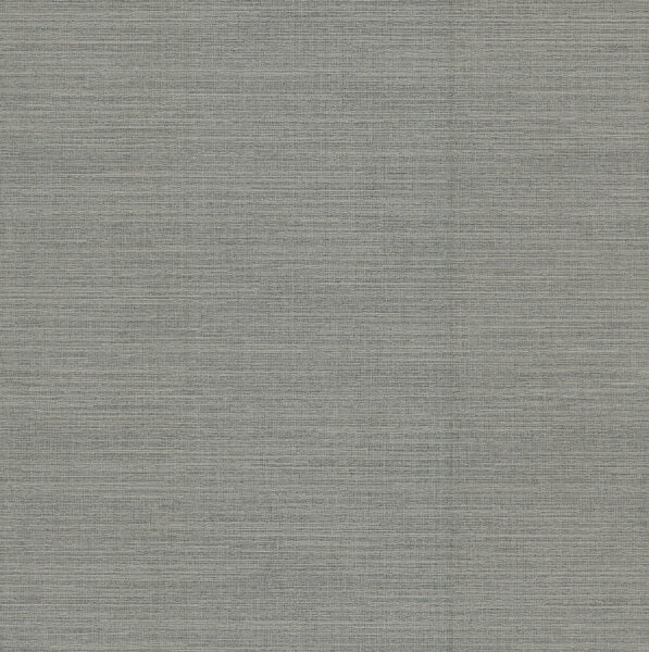 Amyra Silk Charcoal Wallpaper