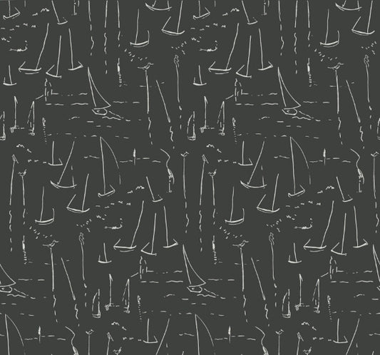 Vermillion Coast Carbon Black Wallpaper