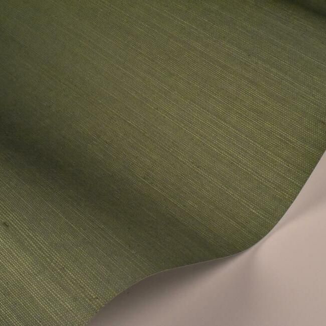 RI5186 Sage Palette Wallpaper