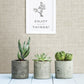2821-24273 Mendocino Beige Linen Wallpaper