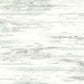 Birch Bark Texture Wallpaper