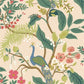 RI5169 Light Pink Peacock Wallpaper