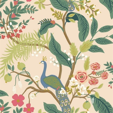 RI5169 Light Pink Peacock Wallpaper