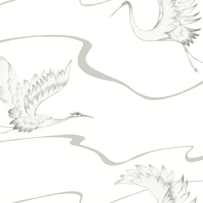Soaring Cranes Wallpaper