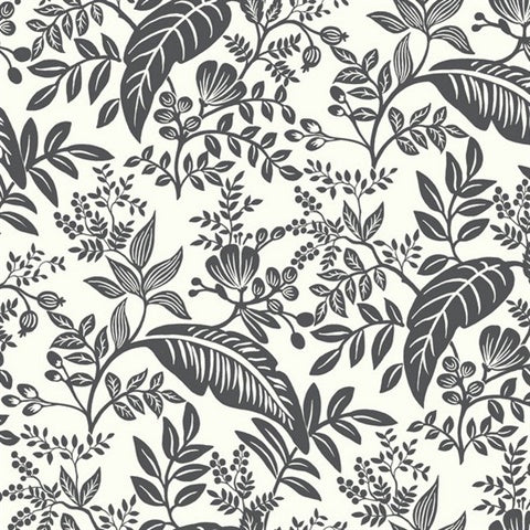 RI5136 Black/White Canopy Wallpaper