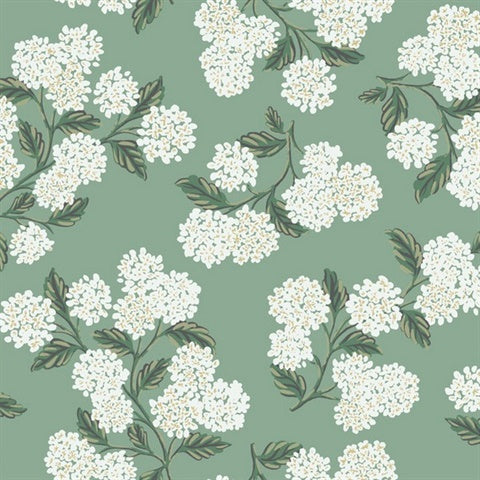 RI5145 Jade Hydrangea Wallpaper
