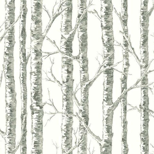 Paper Birch Wallpaper -Neutral color