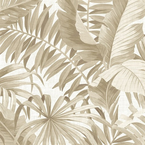 2744-24135, Wallpaper From Solstice By Brewster