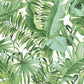 2969-24136 Alfresco Green Tropical Palm Wallpaper by Brewster