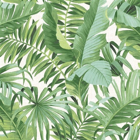 2969-24136 Alfresco Green Tropical Palm Wallpaper by Brewster