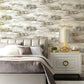 Birch Bark Texture Wallpaper