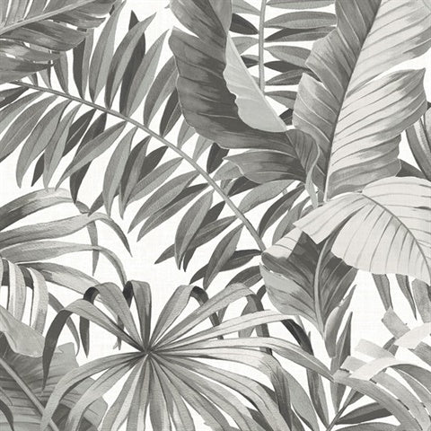 2744-24134, Wallpaper From Solstice By Brewster