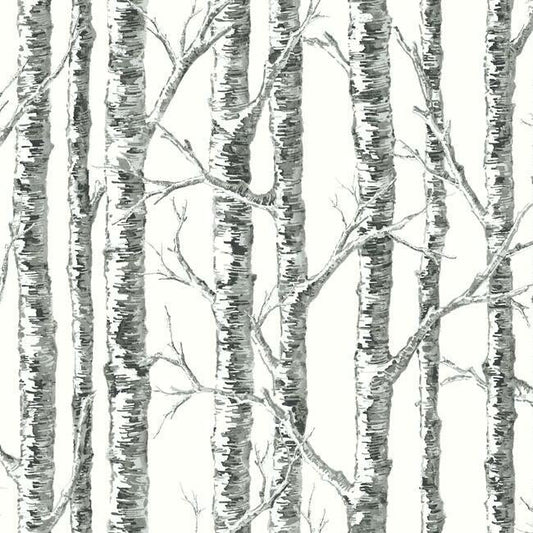 Paper Birch Wallpaper - Black and White colors