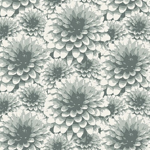 2861-87520 Umbra Teal Floral Equinox By A Street Prints