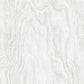 Bentham Dove Plywood Wallpaper