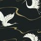 Soaring Cranes Wallpaper