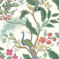 RI5174 Periwinkle Peacock Wallpaper