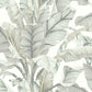 Banana Leaf Wallpaper