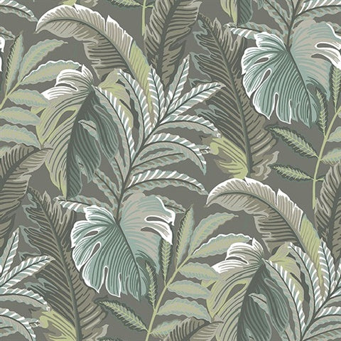 2861-25761 Verdant Dark Grey Botanical Equinox By A Street Prints