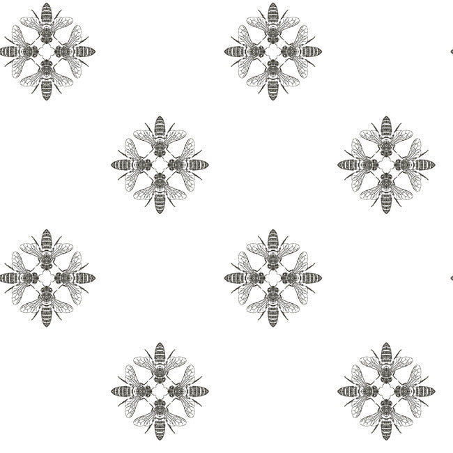 Honey Bee Wallpaper
