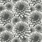 2861-87518 Umbra Charcoal Floral Equinox By A Street Prints