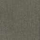 Silver Weathered Cypress Wallpaper