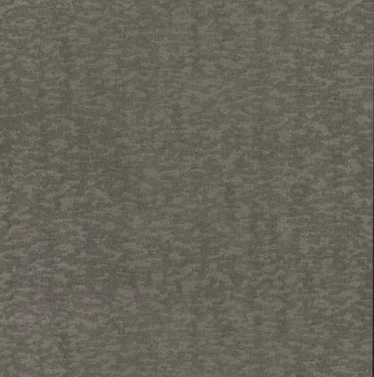 Silver Weathered Cypress Wallpaper