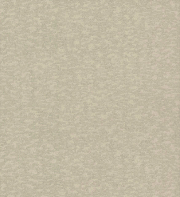 Taupe Weathered Cypress Wallpaper
