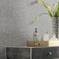 Blue Weathered Cypress Wallpaper