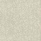 White Weathered Cypress Wallpaper