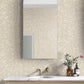 White Weathered Cypress Wallpaper