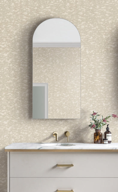 White Weathered Cypress Wallpaper