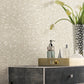White Weathered Cypress Wallpaper