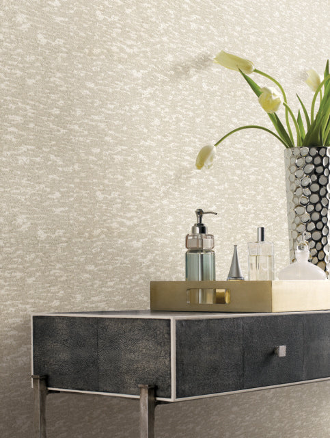 White Weathered Cypress Wallpaper